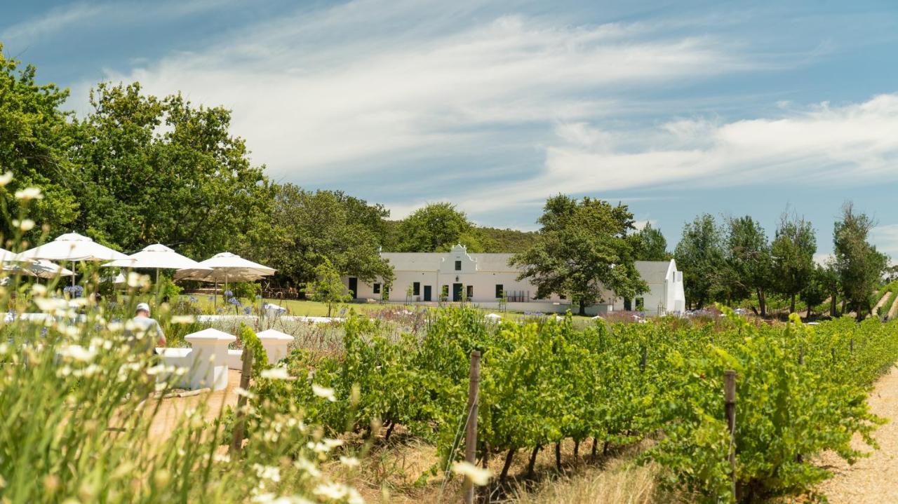 Plaisir Estate Accommodation Simondium Екстериор снимка